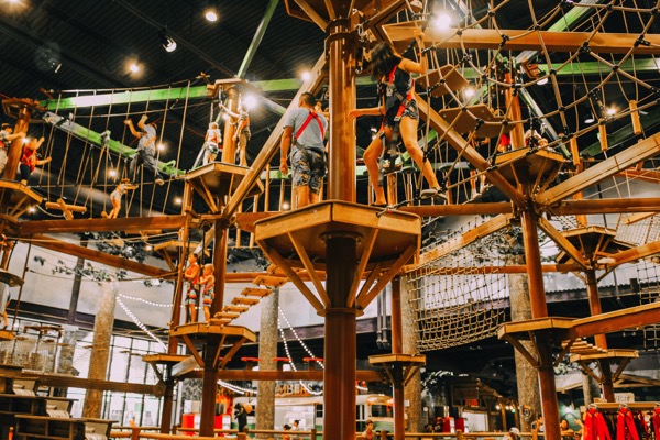 ropes course.jpg Ropes course